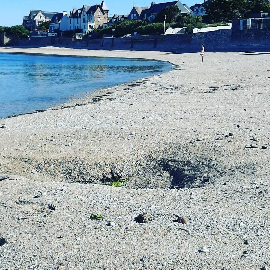 Le 3 Appartement Vue Mer Avec Jardin 100M De La Plage Et De La Thalasso Concarneau Dış mekan fotoğraf