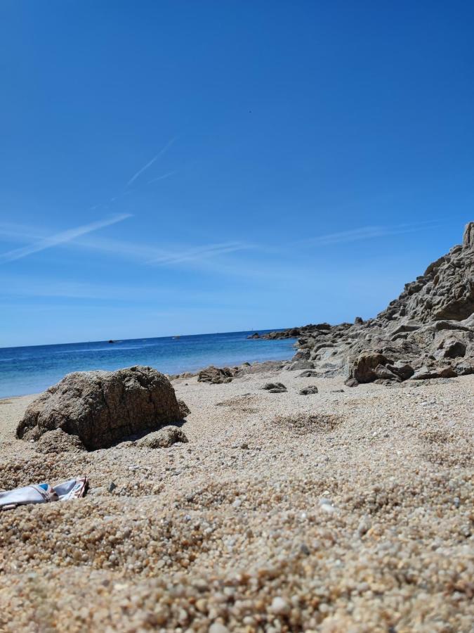 Le 3 Appartement Vue Mer Avec Jardin 100M De La Plage Et De La Thalasso Concarneau Dış mekan fotoğraf