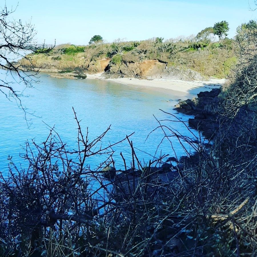 Le 3 Appartement Vue Mer Avec Jardin 100M De La Plage Et De La Thalasso Concarneau Dış mekan fotoğraf