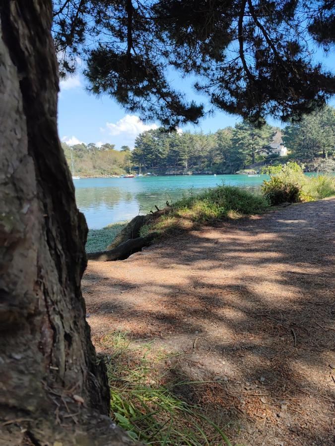 Le 3 Appartement Vue Mer Avec Jardin 100M De La Plage Et De La Thalasso Concarneau Dış mekan fotoğraf